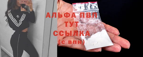 spice Вяземский