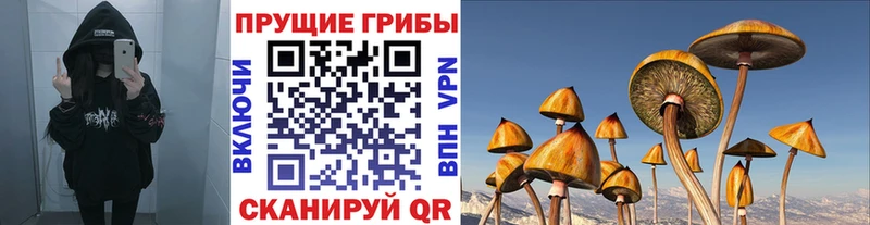 Псилоцибиновые грибы прущие грибы  наркота  Зима 